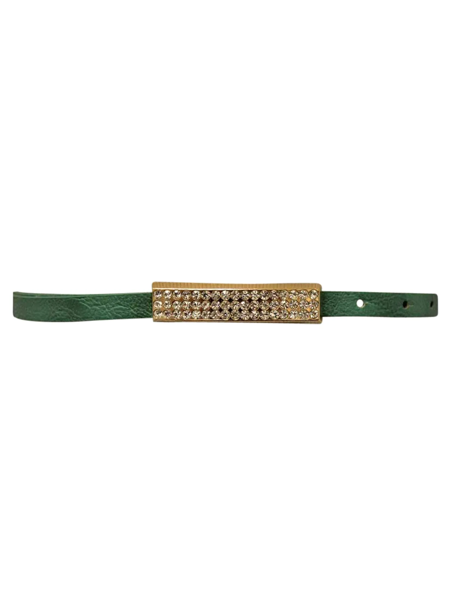 Thin Belt With Gold Bar Buckle