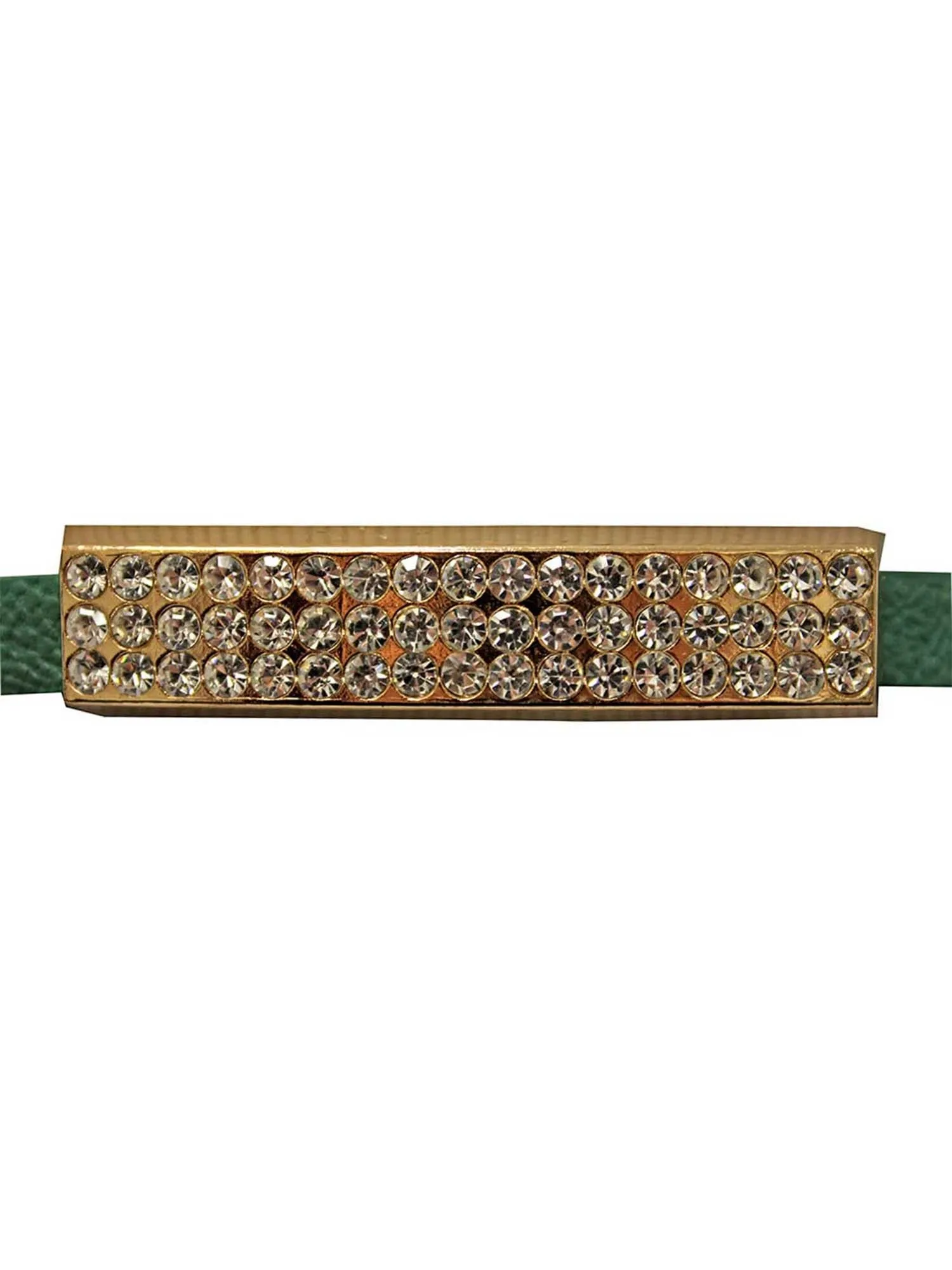 Thin Belt With Gold Bar Buckle