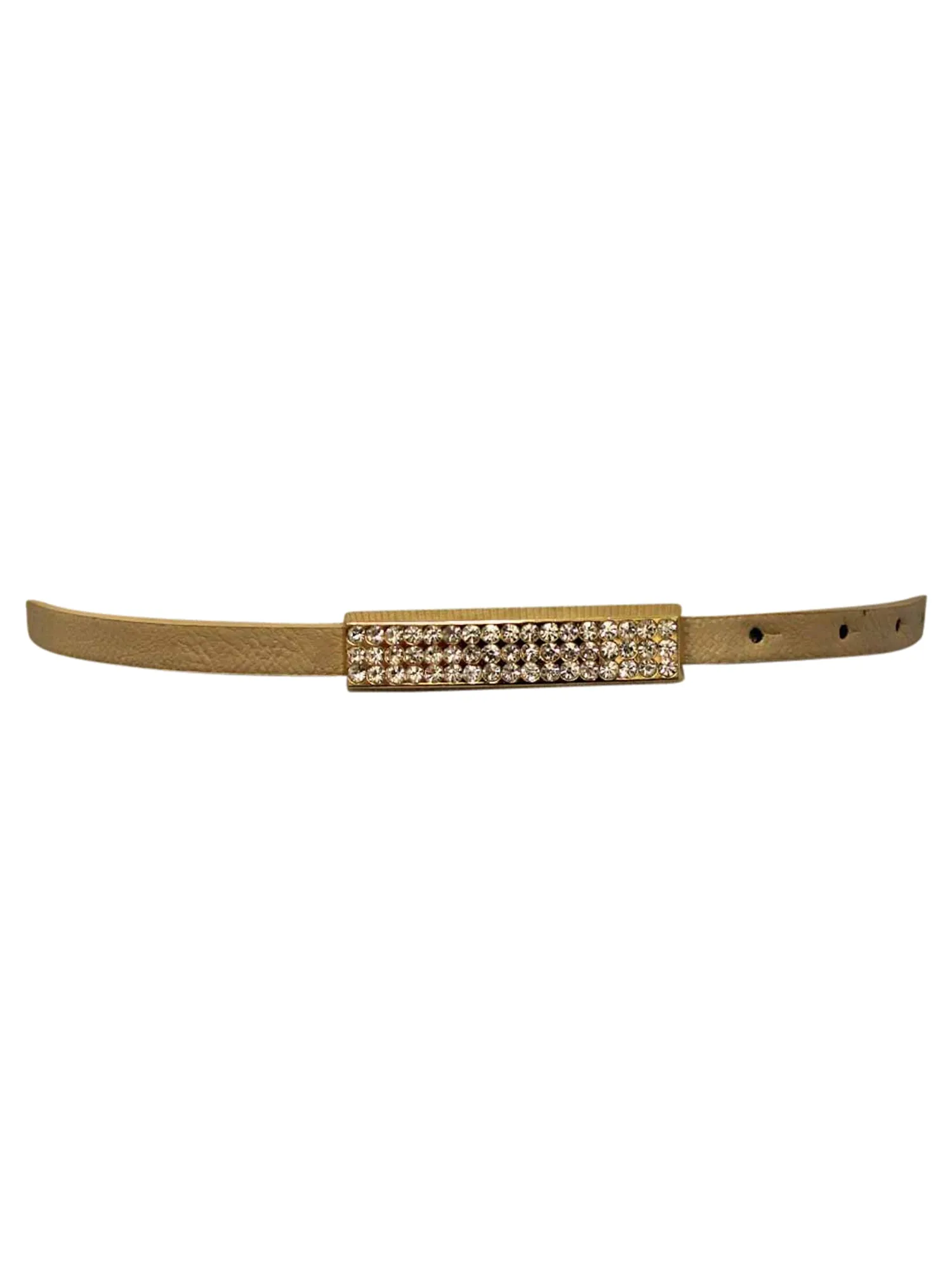 Thin Belt With Gold Bar Buckle